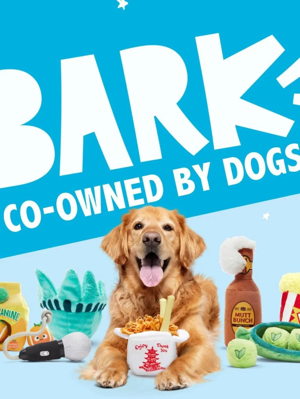 Barkbox Dog Toys  Barkers Dozen Donuts Plush 4 in 1 Multi Part Interactive Dog T